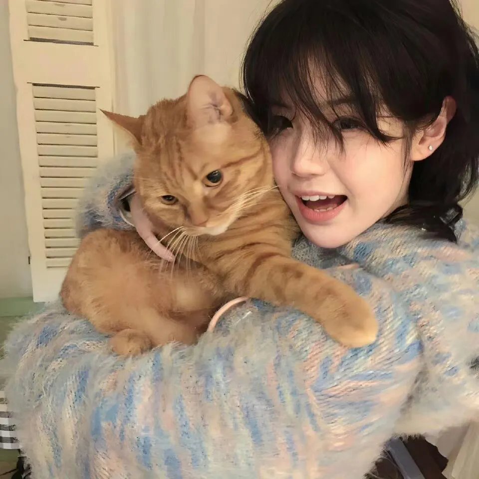 蛇蝎夜合花